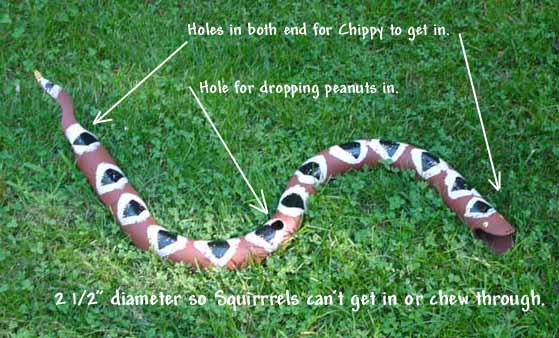 Chipmunk feeder